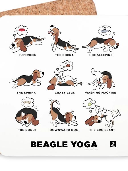 BEAGLE YOGA