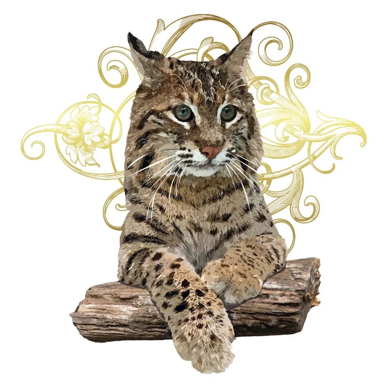 Luchs