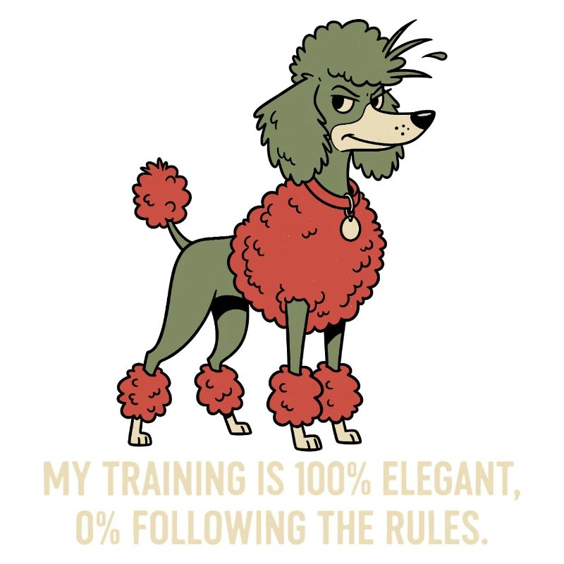 My training: 100% elegant, 0% follow rules