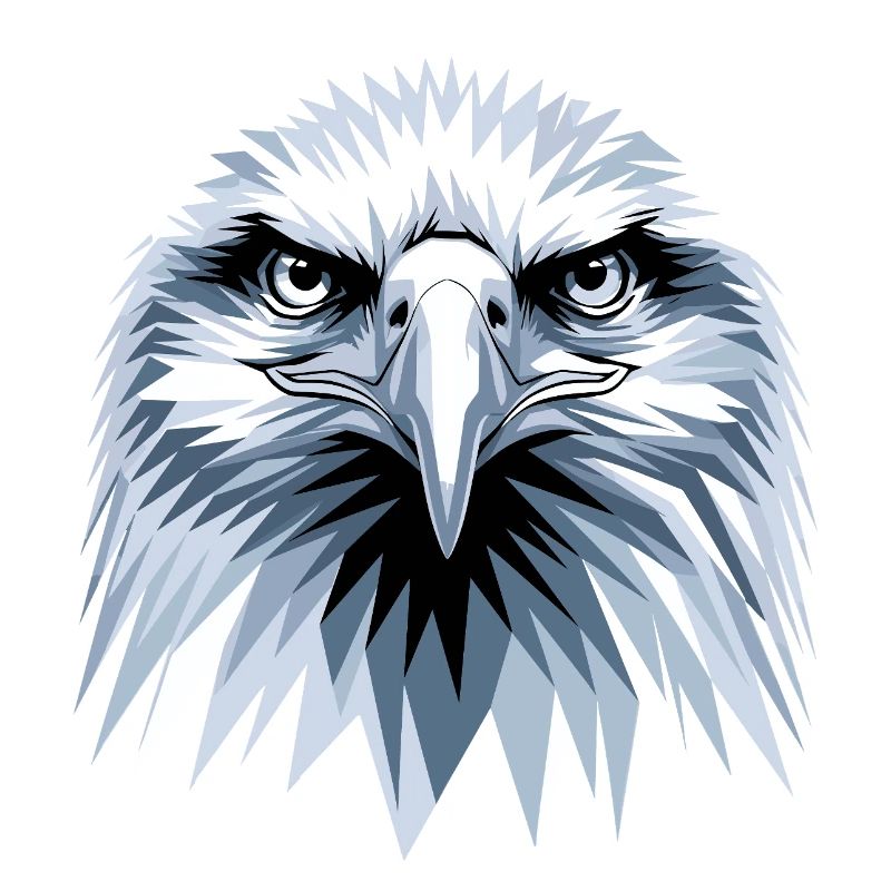 Eagle Bald Eagle Golden Eagle White-tailed Eagle