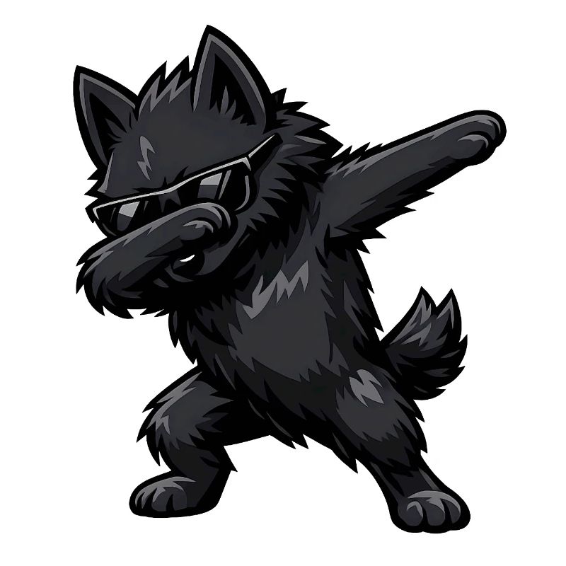 Dabbing Schipperke