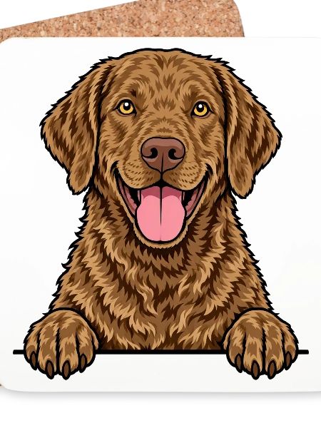 Chesapeake Bay Retriever