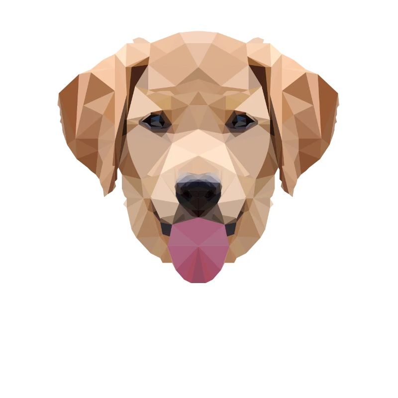 Polygone Labrador, Polygone, Chien, Labrador