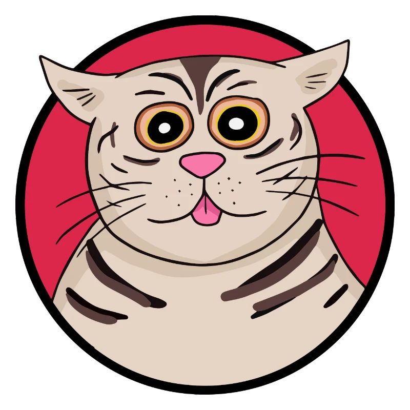 Strange cat