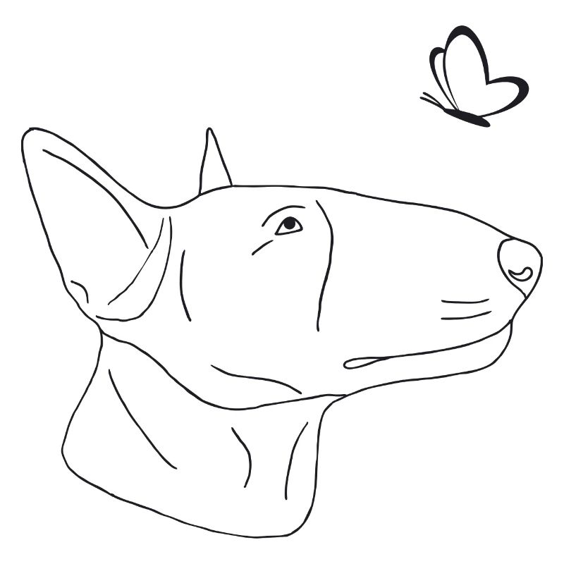 Bullterrier mit Schmetterling