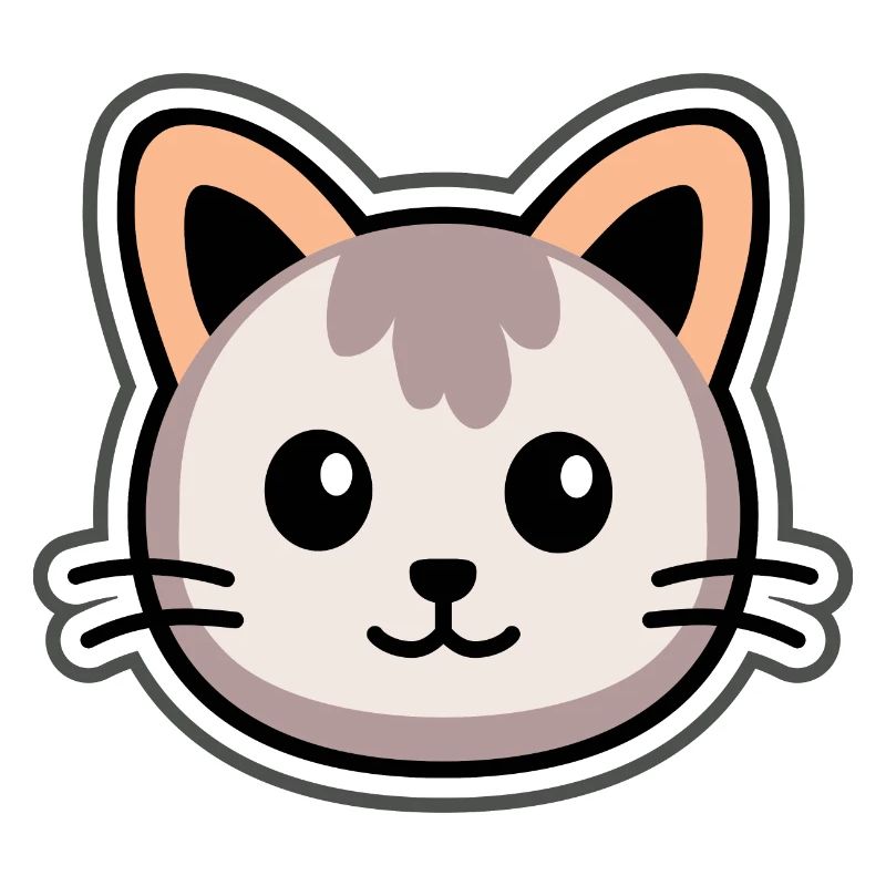 Babykatze