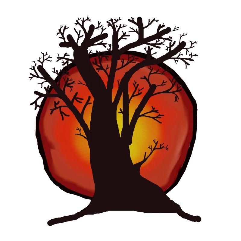 Tree, Sun, Sunset, Sunrays, Forest