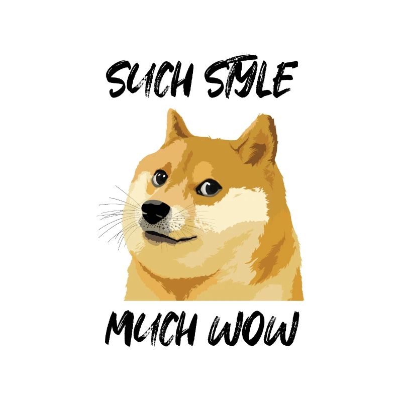 Concern Doge Meme Recherche Style Much Wow