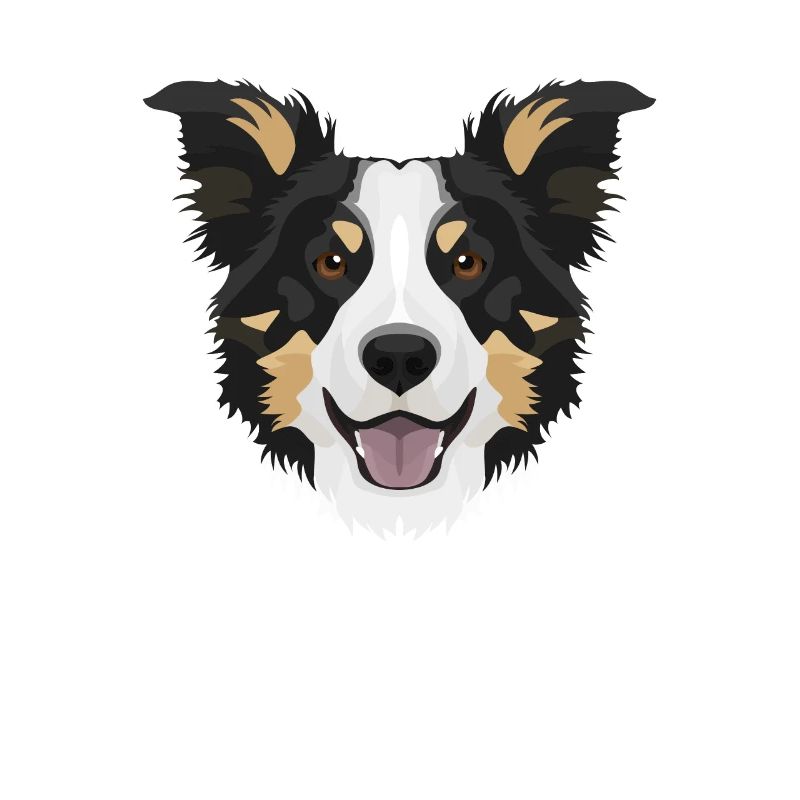 Lächelnder Border Collie