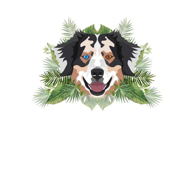 Tropical Australian Shepherd