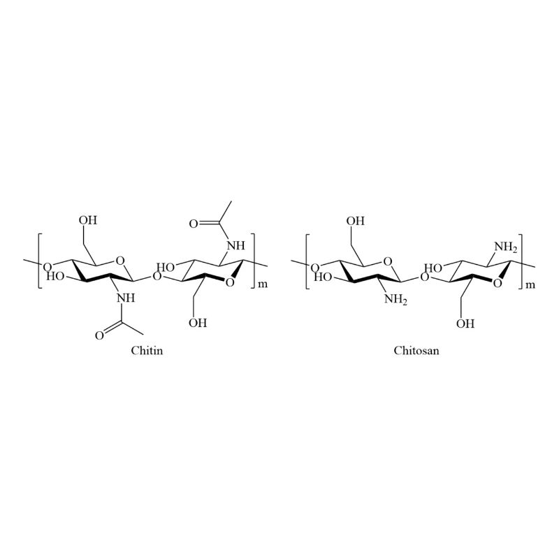 Chitin-Chitosan