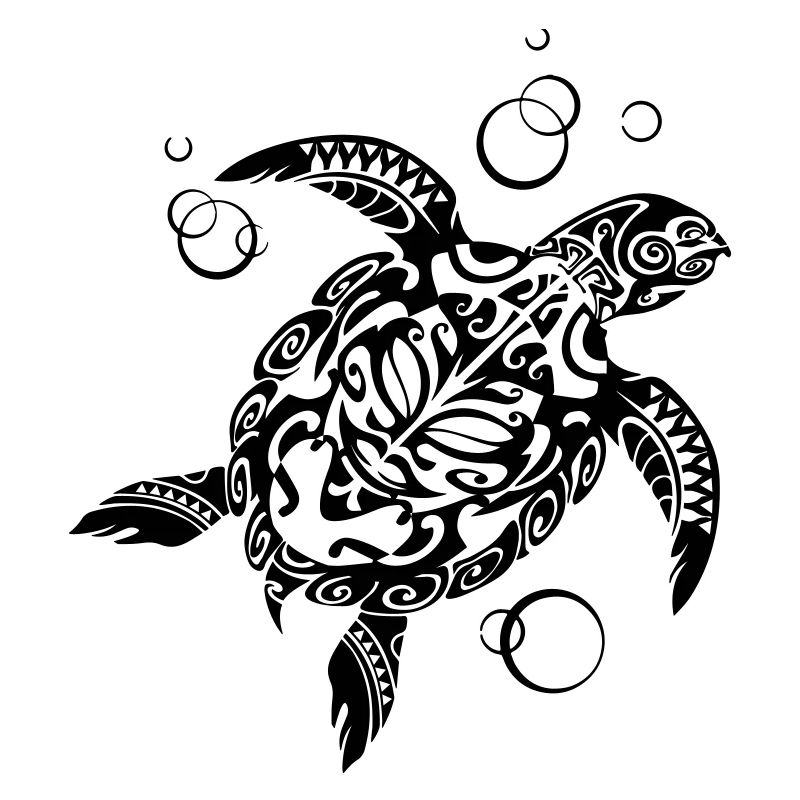 Watchful Turtle