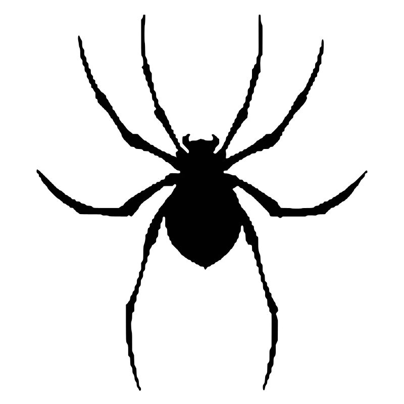 Spider graphique vectoriel