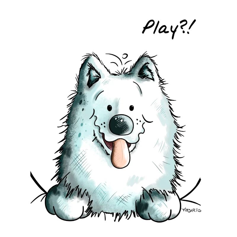Samoyède Play - Samoyeds - Sabaka - Sobaka