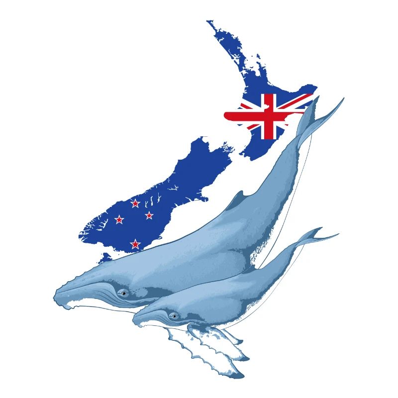 Buckelwal Neuseeland