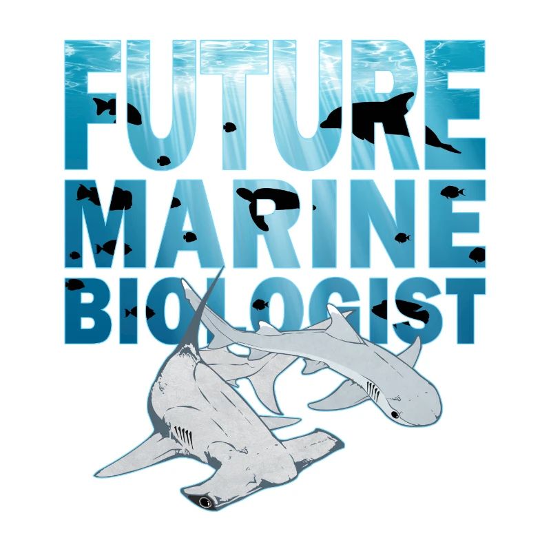 Requin-marteau à pointe blanche