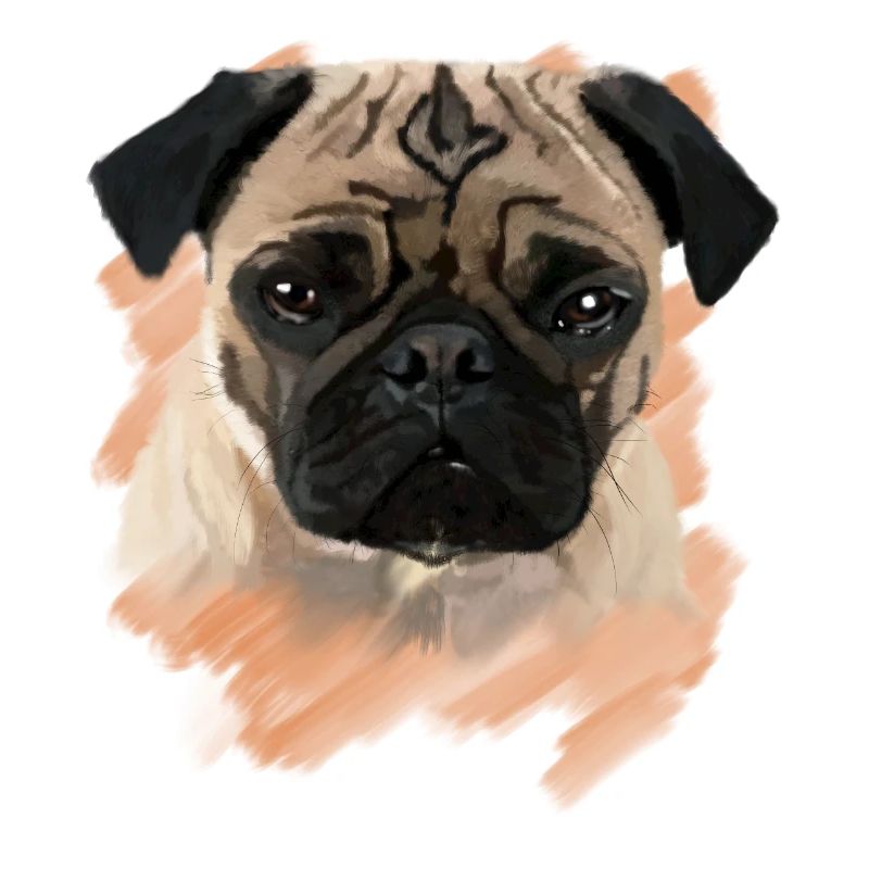 Mops