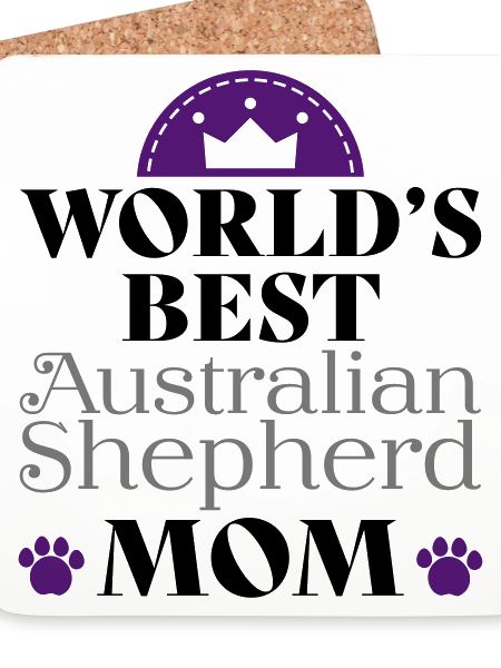 Australian Shepherd