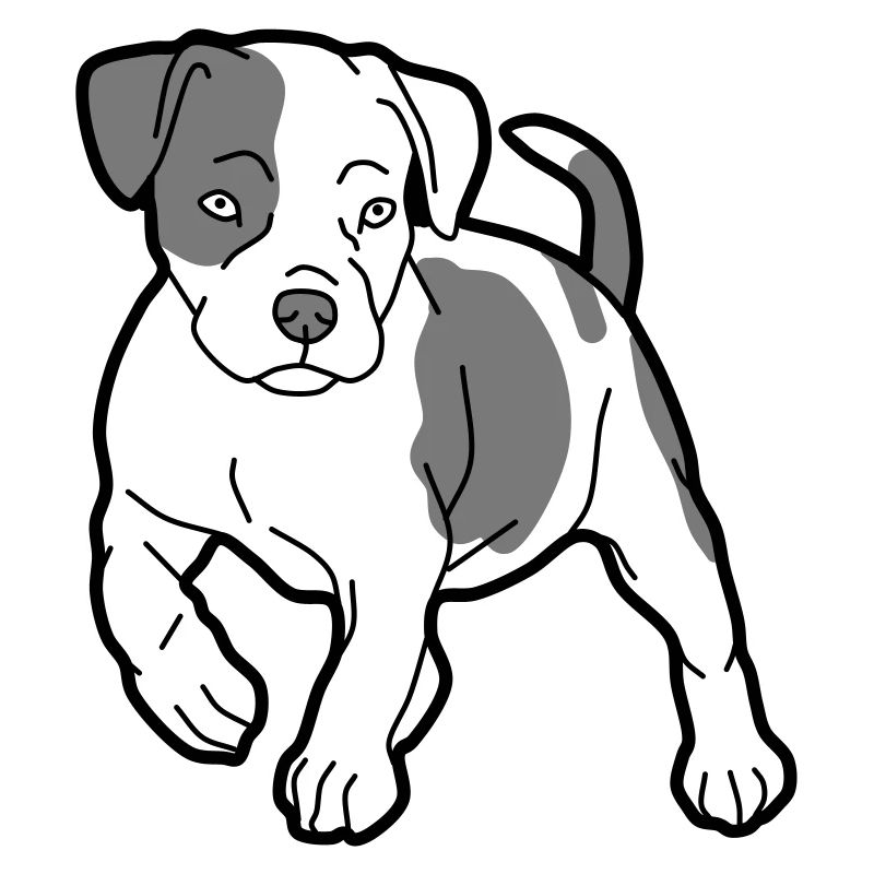 hund