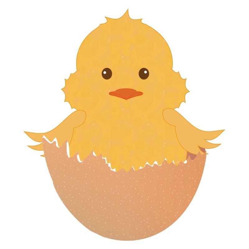 newly hatched chick in the eggshell