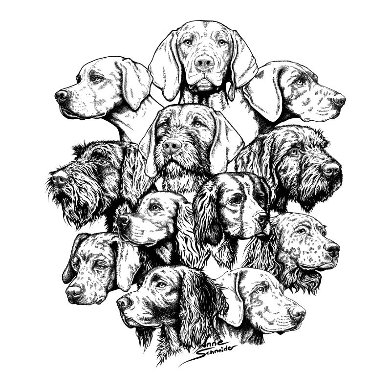 Wimmelbild Vorstehhunde
