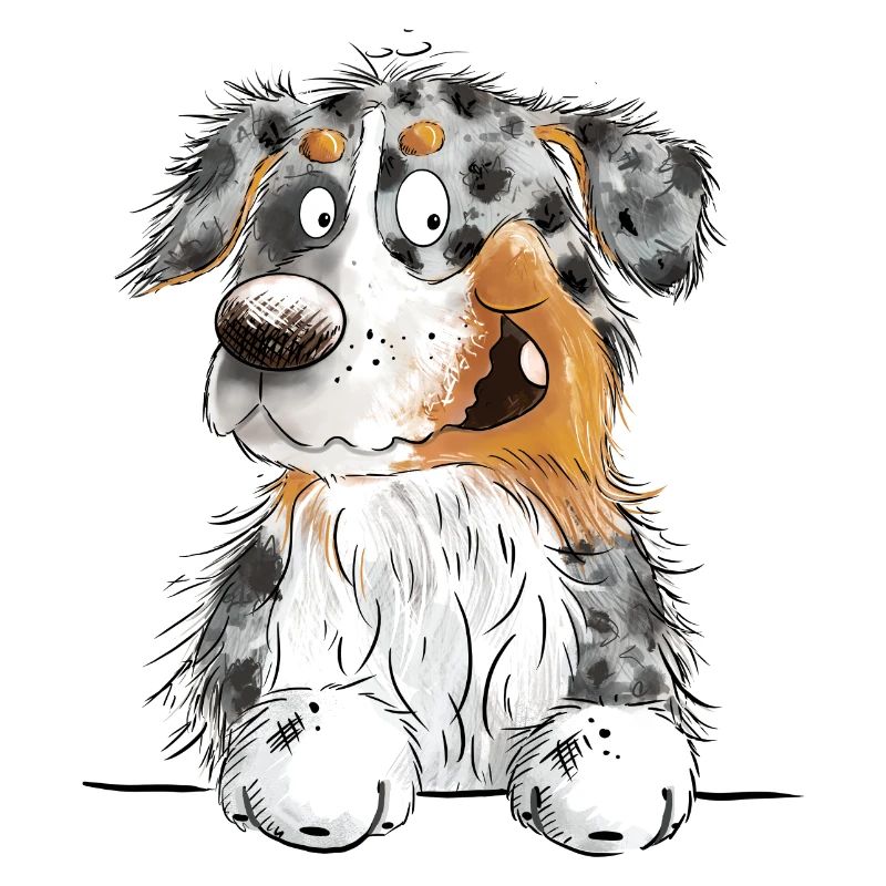 Funny Australian Shepherd Blue Merle