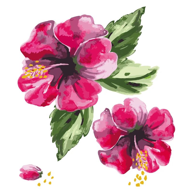 Hibiskusblüten