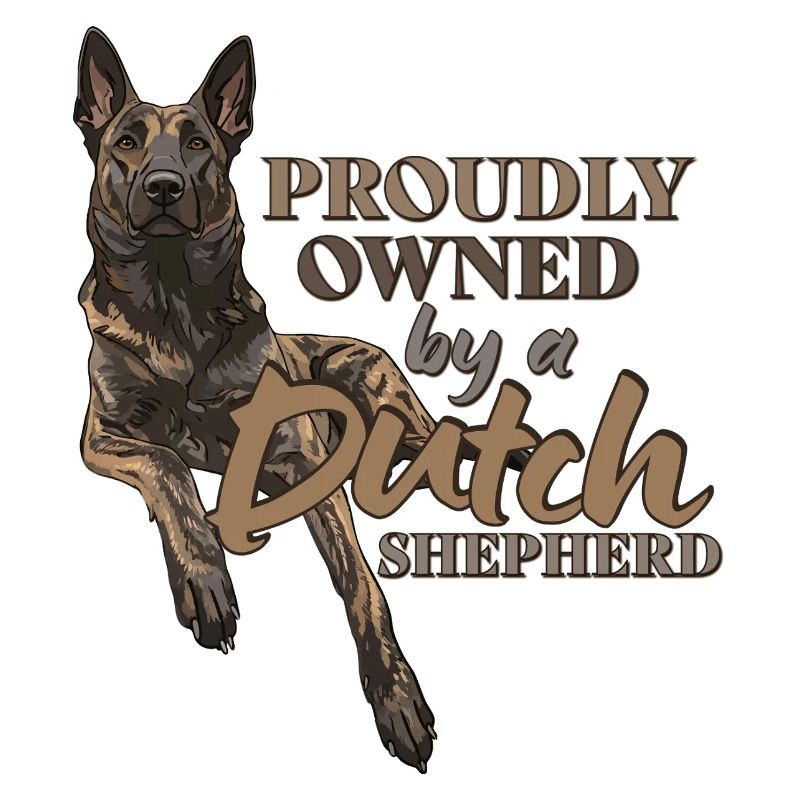 Dutch Shepherd - Dutchie 