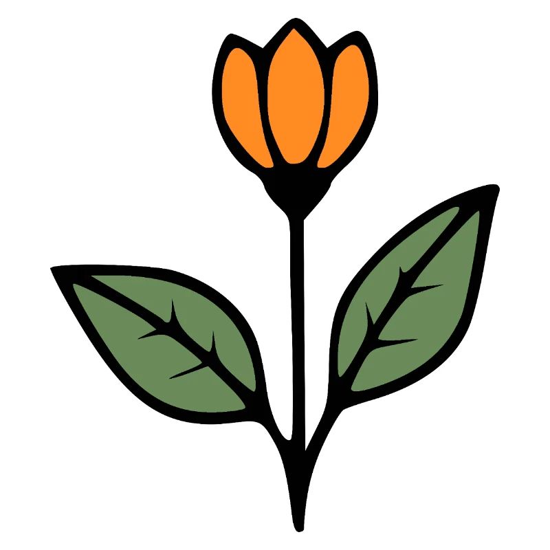  Blume Tulpe Blumen Blüte Geschenkidee Mutter 