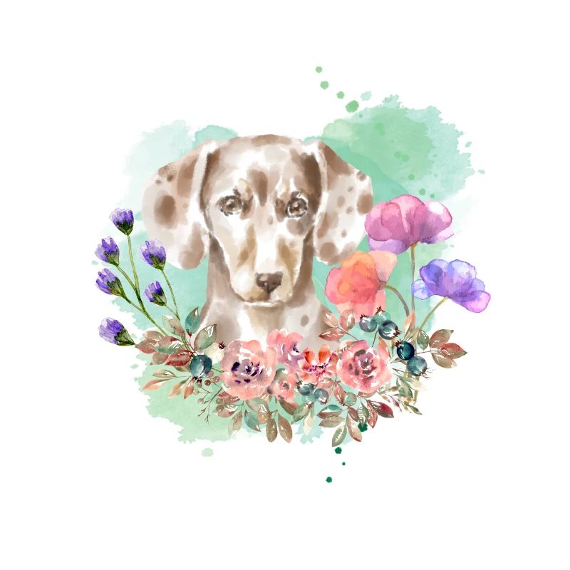 Teckel Cottagecore Aquarelle Fleurs