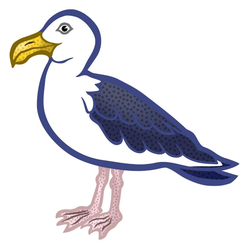 Möwe