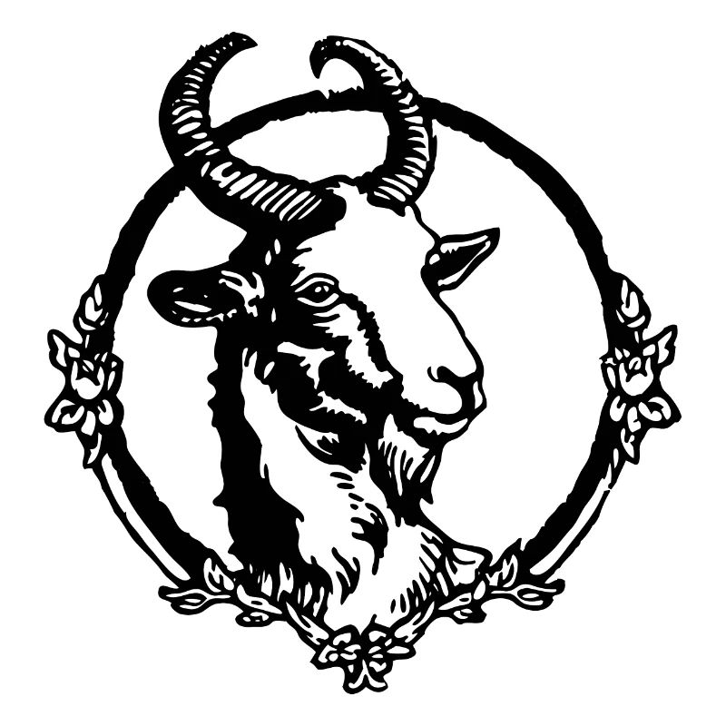 Steinbock Ziege