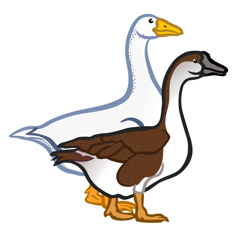 Gänse