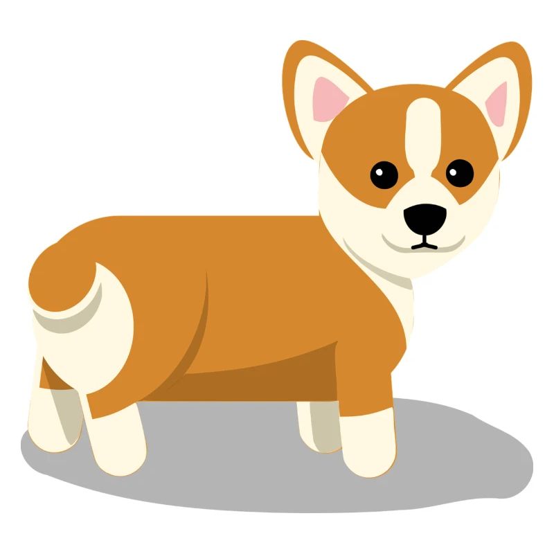 Corgi