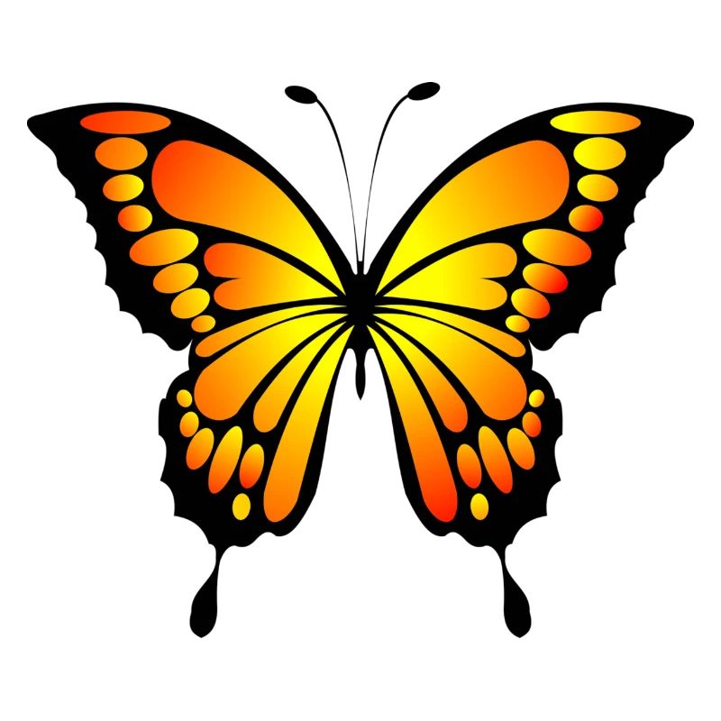 papillon