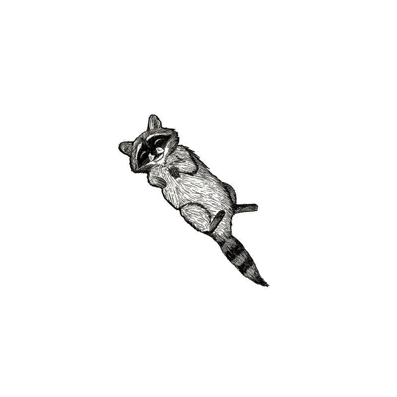 Waschbär
