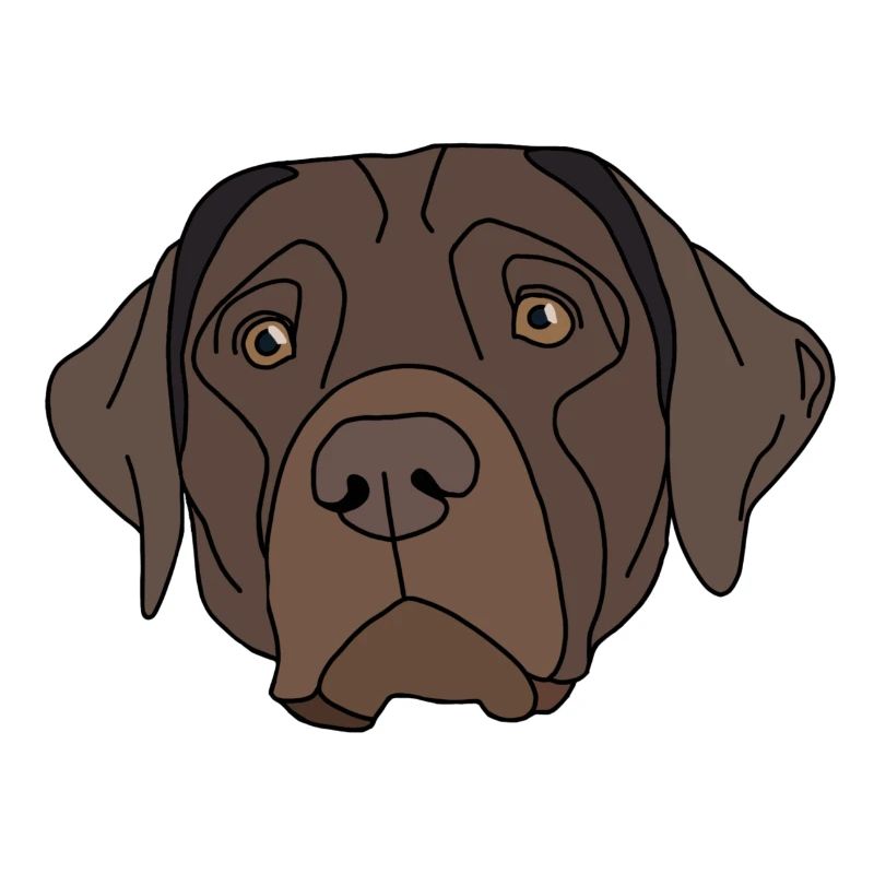 Conception de Labrador Retriever