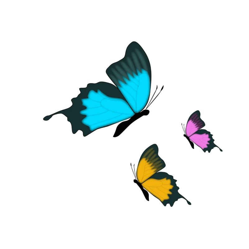 Schmetterlinge