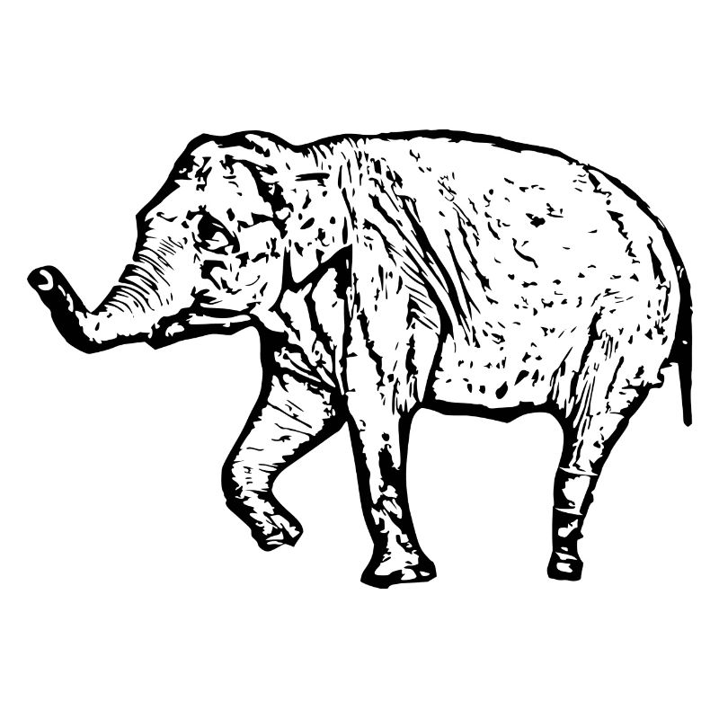 Elefant schwarz