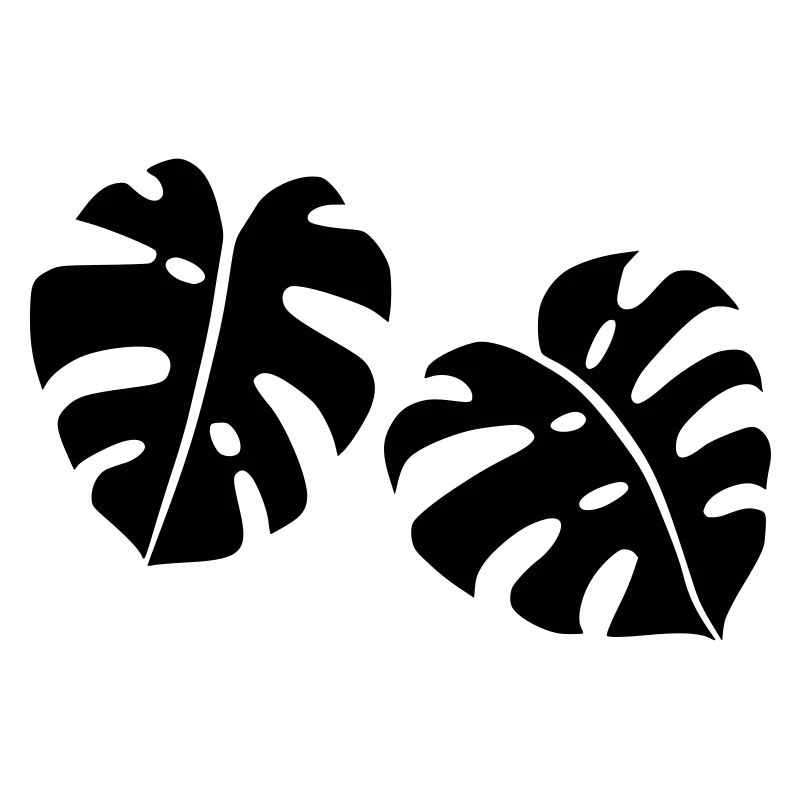 Conception Monstera