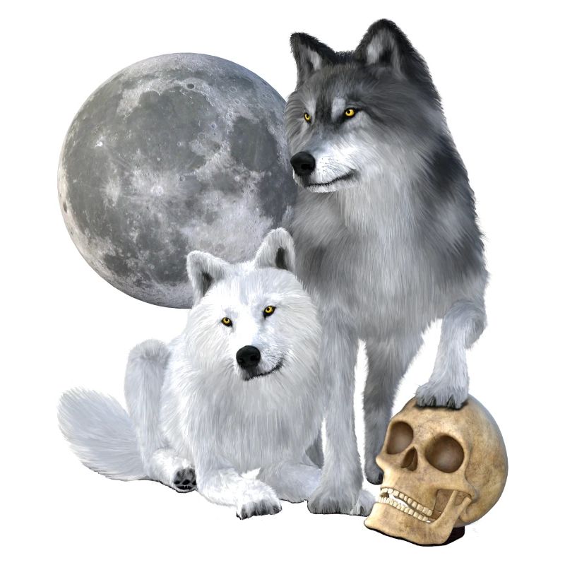 Wolves, white, grey, moon, skull