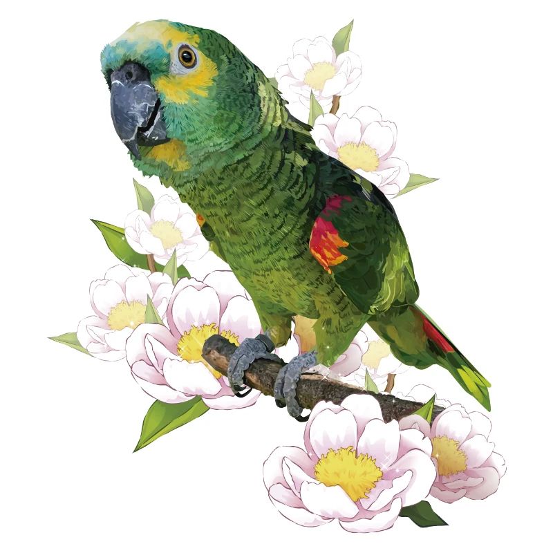 The blue-fronted amazon