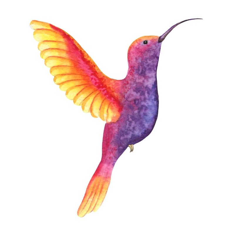 Lebendiger Aquarell-Kolibri