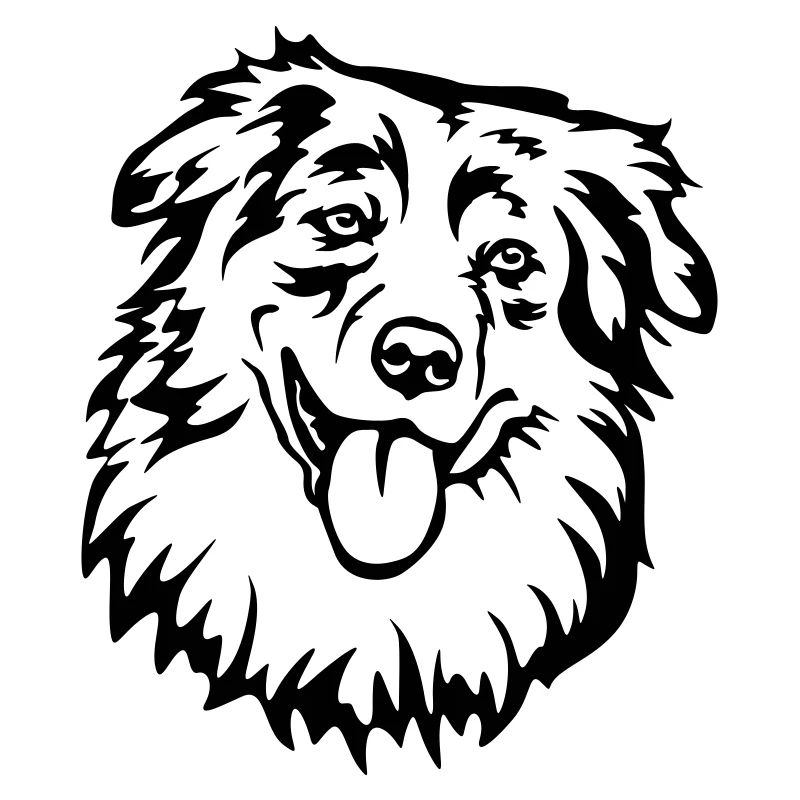 Australian Shepherd Head