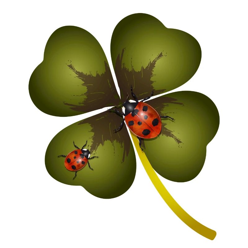 A four-leaf clover with two ladybugs