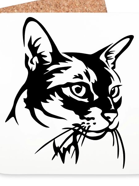 Abyssinian Cat