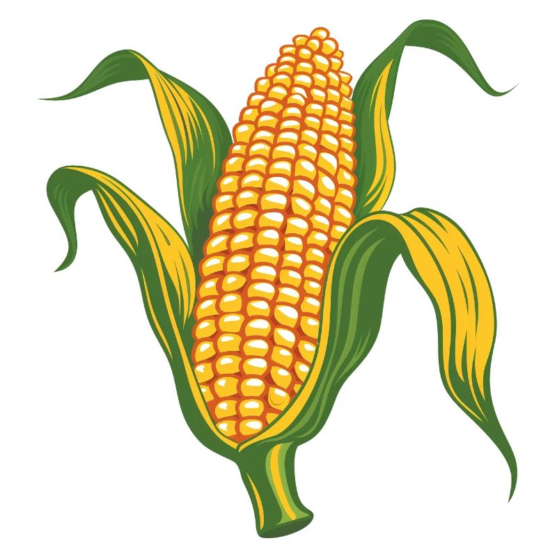 Corn