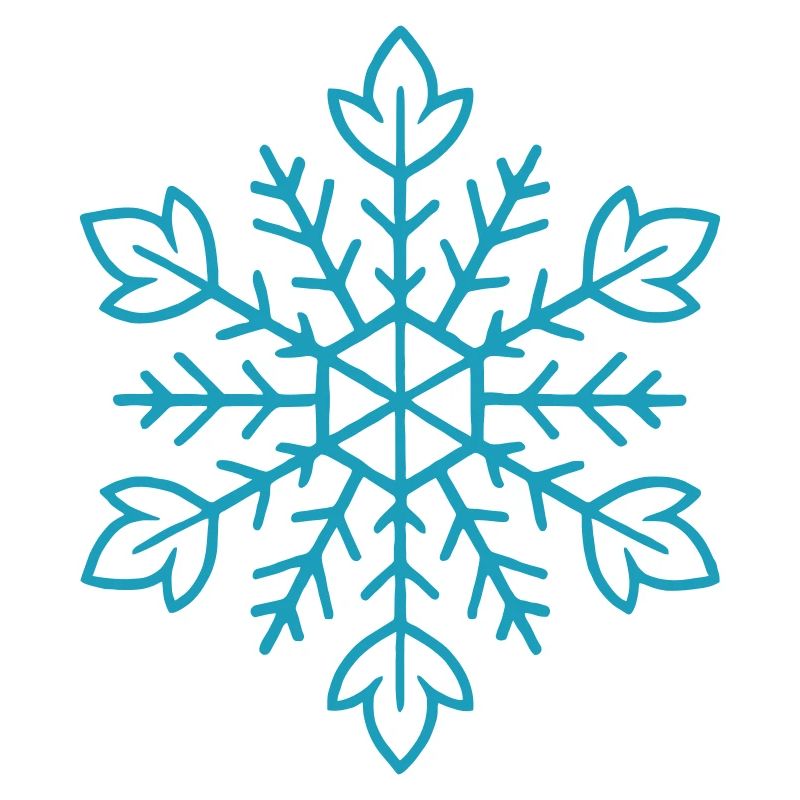 Snowflake | Mountain | Skiing | Snowboarding
