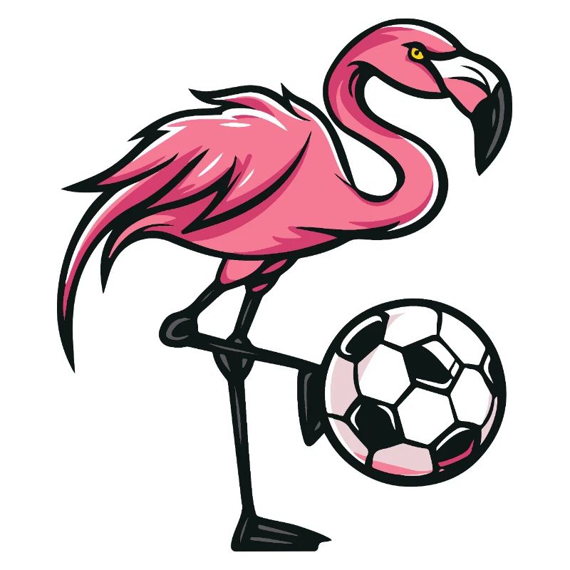 Flamingo Fußball Comic
