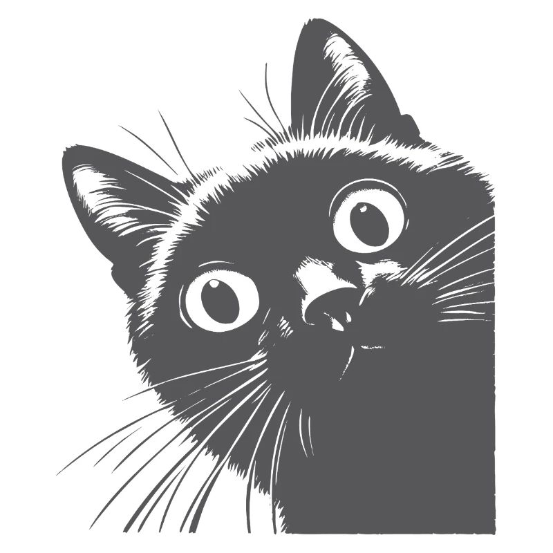 schwarze Katze